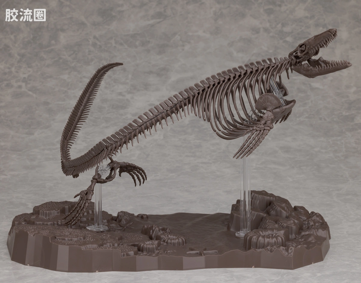 万代综合拼装模型系列 Imaginary Skeleton系列 沧龙 - 图片